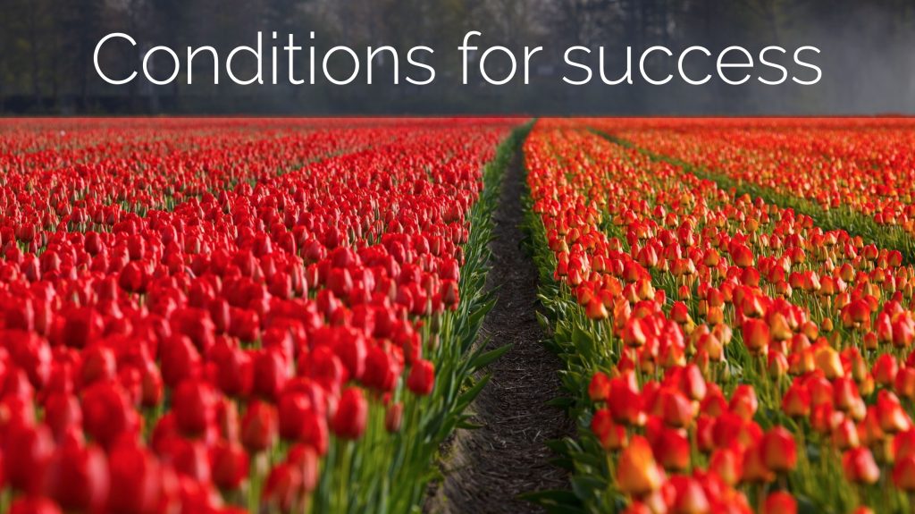 conditions for success