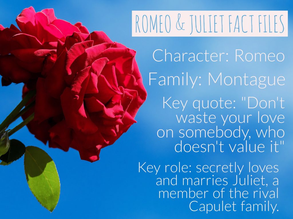 jpeg-image-6b8460b89f56-1